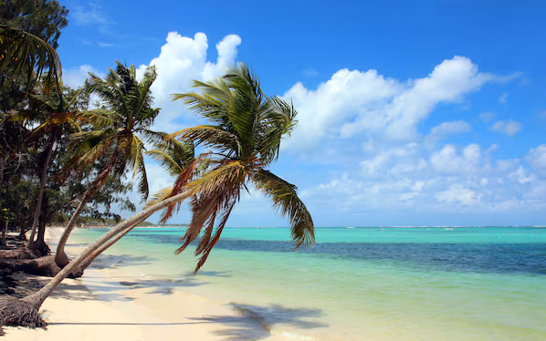 Bavaro Beach near Dreams Macao Beach Punta Cana with pristine white sand and crystal-clear Caribbean waters