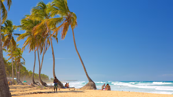 Macao Beach near Dreams Macao Beach Punta Cana with white sand shoreline and turquoise Caribbean waters